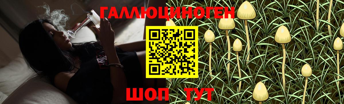 Галлюциногенные грибы Psilocybe Саянск